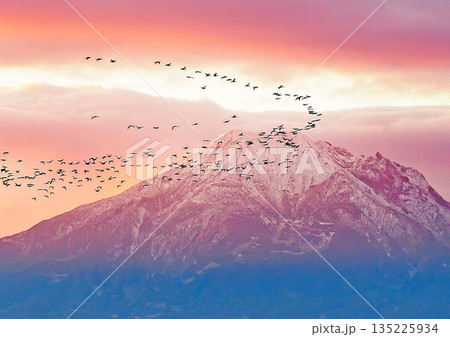 朝焼けの桜島 135225934