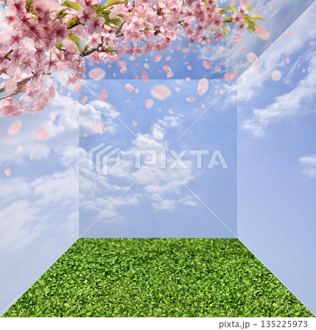 満開の桜で始まる季節、春の青空ボックス 135225973