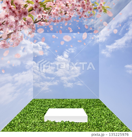 満開の桜で始まる季節、展示台がある青空ボックス 満開の桜で始まる季節、展示台がある青空ボックス 135225976