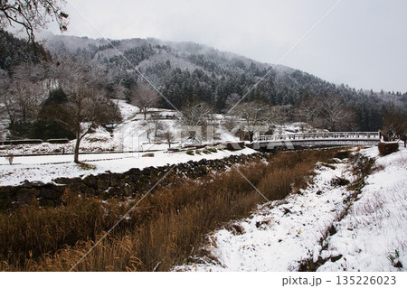初雪の一乗谷朝倉氏遺跡 135226023
