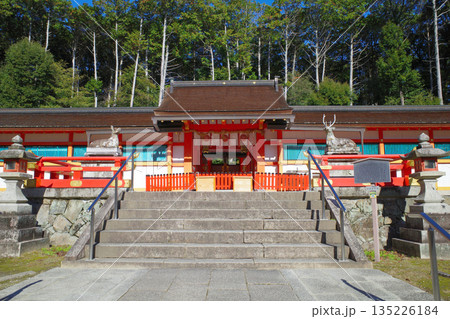 京都 秋の大原野神社の紅葉 京都 秋の大原野神社の紅葉 135226184