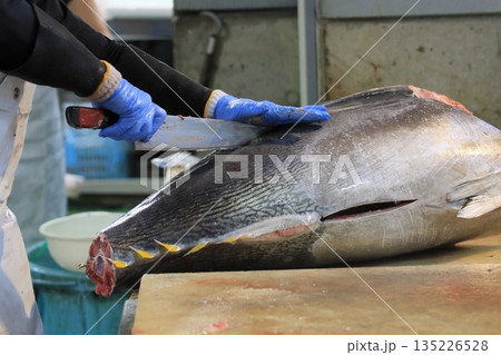 マグロ職人に解体される生の本マグロ マグロ職人に解体される生の本マグロ 135226528