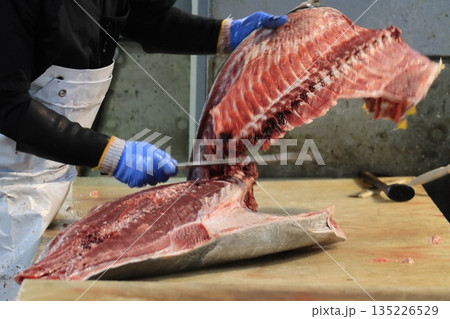 マグロ職人に解体される生の本マグロ 135226529