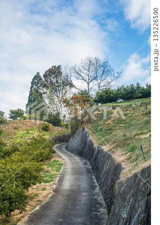 明日香の田舎道　奈良県明日香村 135226590