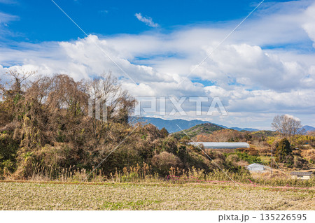 明日香村冬景色 奈良県明日香村 明日香村冬景色 奈良県明日香村 135226595