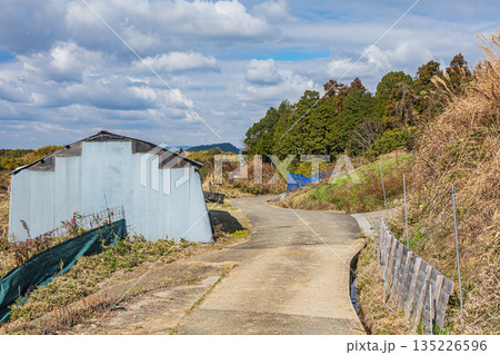 明日香村冬景色 奈良県明日香村 明日香村冬景色 奈良県明日香村 135226596