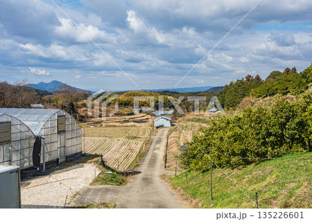 冬の農村風景　奈良県明日香村 135226601