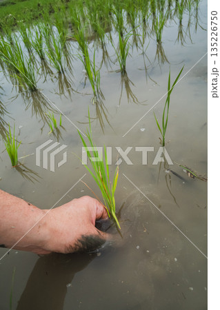 various various 135226750