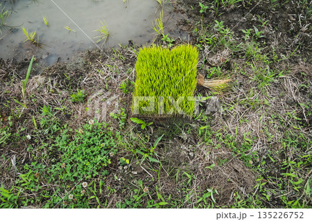 various various 135226752