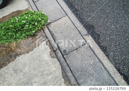 various various 135226769