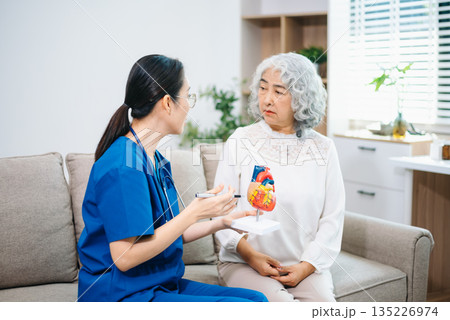 Asian nurse explains a heart model to an elderly woman at home, focusing on heart health, cardiology, patient education, senior care, and modern home 135226974