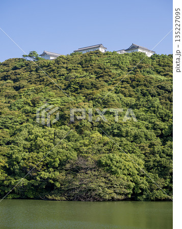 快晴の朝の富岡城　（袋池から見上げる） 135227095