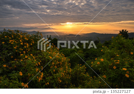 Beautiful morning view of the landscape on Doi Pae Luang hill an iconic viewing point in Phaya Mengrai District in Chiang Rai province of Thailand. Beautiful morning view of the landscape on Doi Pae Luang hill an iconic viewing point in Phaya Mengrai District in Chiang Rai province of Thailand. 135227127