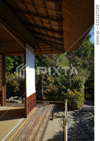 秋の京都　等持院の紅葉 135227189