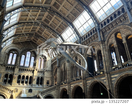 伝統的な博物館の建物と吊るされたクジラの骨格 伝統的な博物館の建物と吊るされたクジラの骨格 135227207