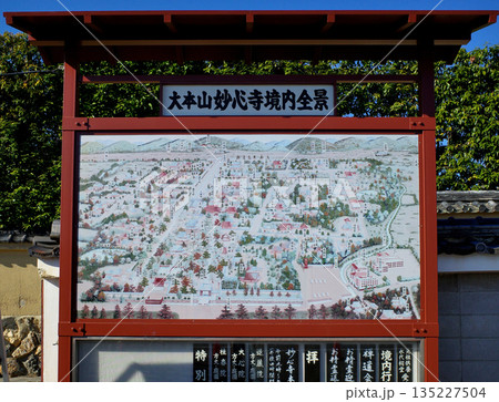 京都 妙心寺退蔵院の秋 京都 妙心寺退蔵院の秋 135227504