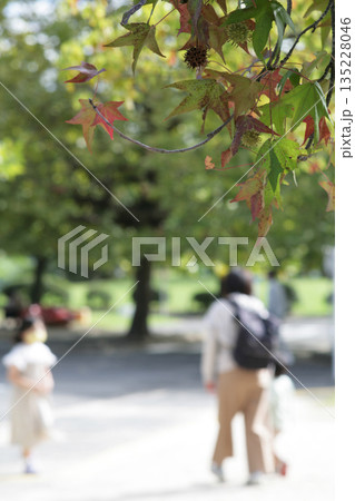 公園で散歩する親子 公園で散歩する親子 135228046