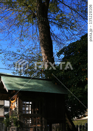 神社の摂社とご神木 135228106