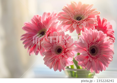 ピンクのガーベラの花束 135228241