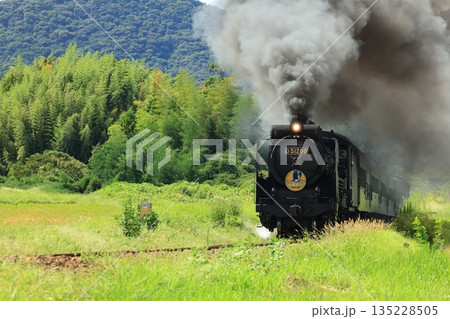 SLやまぐち号　D51   5927 135228505