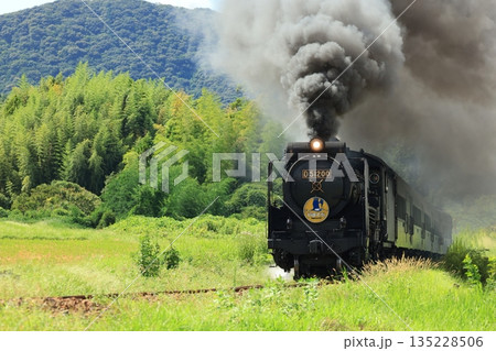 SLやまぐち号　D51   5934 135228506