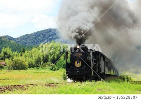 SLやまぐち号　D51   5955 135228507