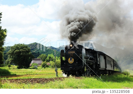 SLやまぐち号　D51   5972 135228508