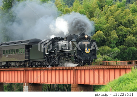 SLやまぐち号　D51   6012 135228511