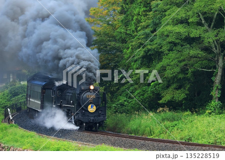 SLやまぐち号　D51   6206 135228519