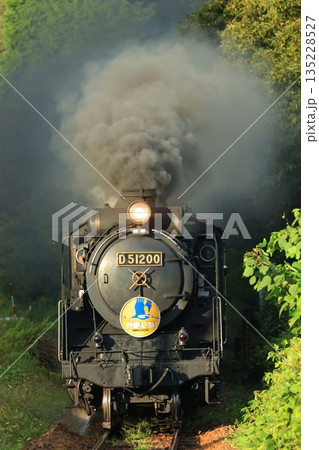 SLやまぐち号 D51 6310 SLやまぐち号 D51 6310 135228527