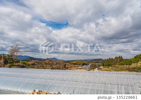 冬の農村風景　奈良県明日香村 135228661