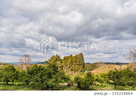 明日香の冬景色 奈良県明日香村 明日香の冬景色 奈良県明日香村 135228664