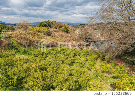 明日香の山腹の果樹園 奈良県明日香村 明日香の山腹の果樹園 奈良県明日香村 135228669