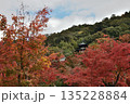 永観堂禅林寺　モミジに包まれる多宝塔(京都市左京区) 135228884