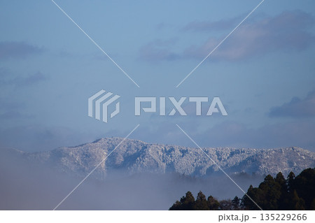 冬の訪問者 135229266