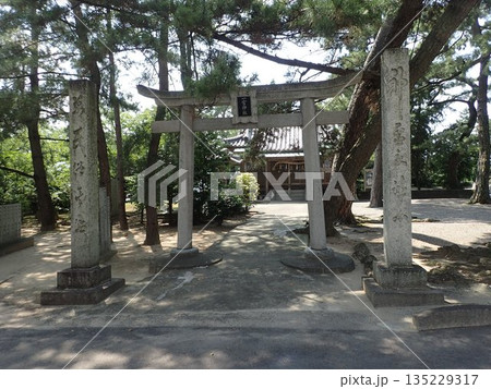香川県観音寺市豊浜町姫浜にあり、猿田彦命を祀っており、摂末社として海亀神社がある一宮神社 香川県観音寺市豊浜町姫浜にあり、猿田彦命を祀っており、摂末社として海亀神社がある一宮神社 135229317
