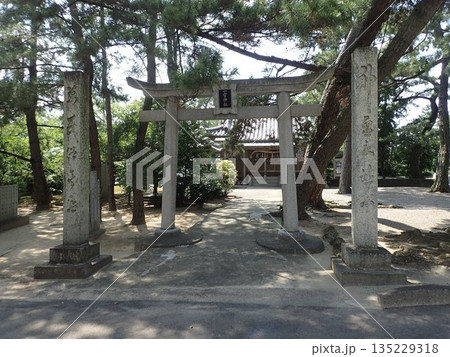 香川県観音寺市豊浜町姫浜にあり、猿田彦命を祀っており、摂末社として海亀神社がある一宮神社 香川県観音寺市豊浜町姫浜にあり、猿田彦命を祀っており、摂末社として海亀神社がある一宮神社 135229318