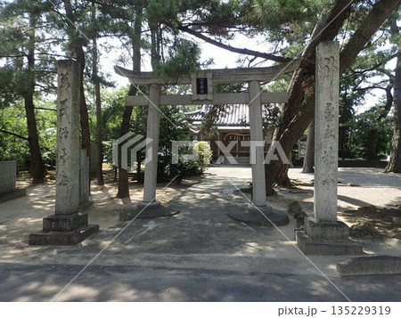 香川県観音寺市豊浜町姫浜にあり、猿田彦命を祀っており、摂末社として海亀神社がある一宮神社 135229319