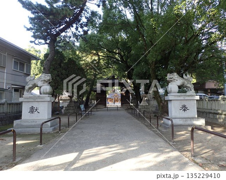 愛媛県新居浜市中心部に位置し、新居浜太鼓祭りで川西地区のかき比べが行われる一宮神社(いっくじんじゃ) 愛媛県新居浜市中心部に位置し、新居浜太鼓祭りで川西地区のかき比べが行われる一宮神社(いっくじんじゃ) 135229410