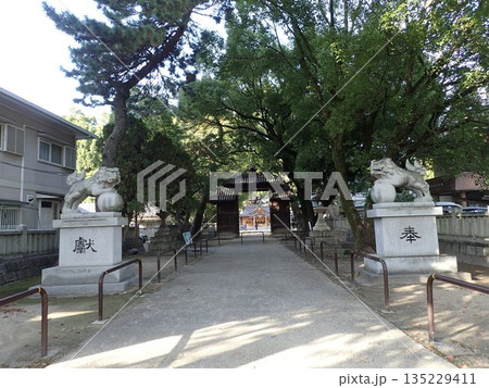 愛媛県新居浜市中心部に位置し、新居浜太鼓祭りで川西地区のかき比べが行われる一宮神社(いっくじんじゃ) 愛媛県新居浜市中心部に位置し、新居浜太鼓祭りで川西地区のかき比べが行われる一宮神社(いっくじんじゃ) 135229411