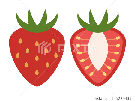 いちごと断面いちごのシンプルなフラットイラスト 135229433