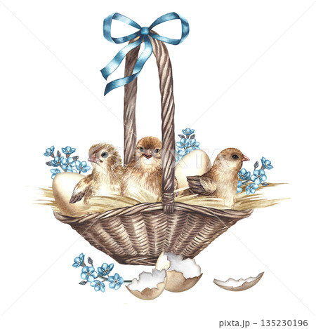 Just-hatched chicks in a wicker basket. Hand-drawn watercolor illustration. For Easter greeting cards and invitations. For packaging, labels, textiles, and more. Just-hatched chicks in a wicker basket. Hand-drawn watercolor illustration. For Easter greeting cards and invitations. For packaging, labels, textiles, and more. 135230196