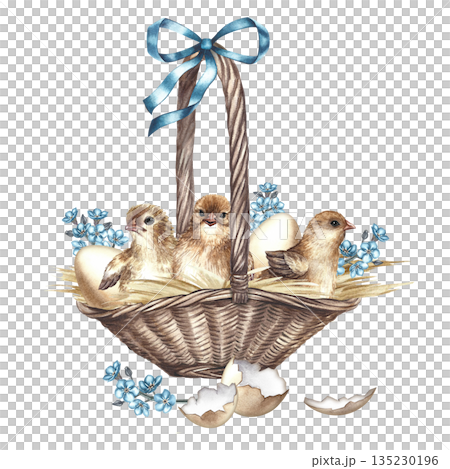Just-hatched chicks in a wicker basket. Hand-drawn watercolor illustration. For Easter greeting cards and invitations. For packaging, labels, textiles, and more. Just-hatched chicks in a wicker basket. Hand-drawn watercolor illustration. For Easter greeting cards and invitations. For packaging, labels, textiles, and more. 135230196