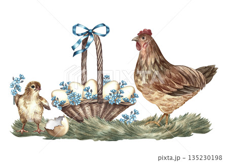 Easter composition. Easter eggs in a wicker basket with forget-me-not flowers and a hen next to it. Hand-drawn watercolor illustration. For Easter greeting cards and invitations, packaging and more. 135230198