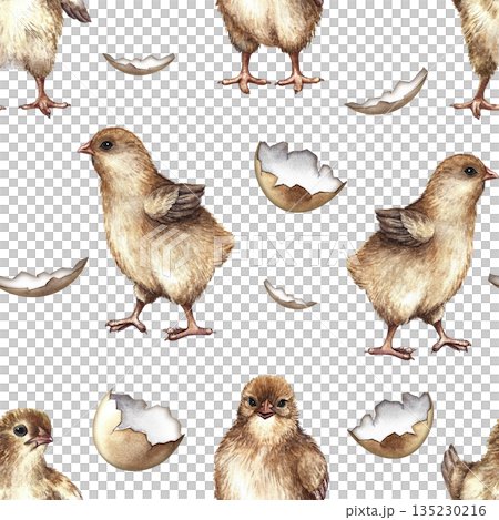 Seamless pattern with cute little chickens and eggshells. Hand-drawn watercolor illustration. Perfect for farm projects, Easter, textiles, packaging and labels, wallpaper, and more. 135230216