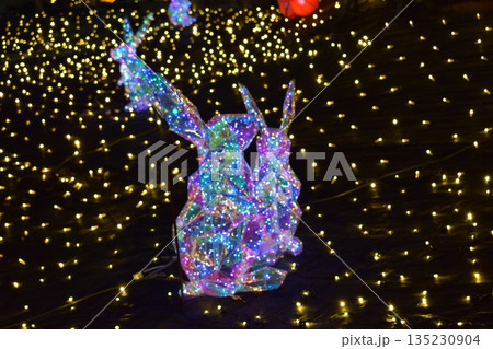 伊豆ぐらんぱる公園イルミネーション 135230904