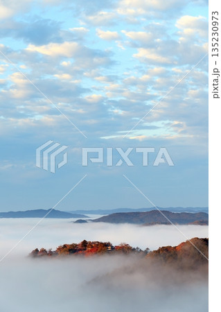 天空の山城6439 135230973