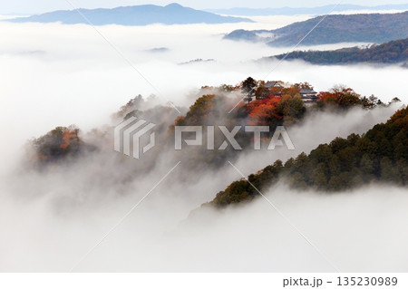 天空の山城6536 135230989