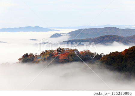 天空の山城6551 135230990