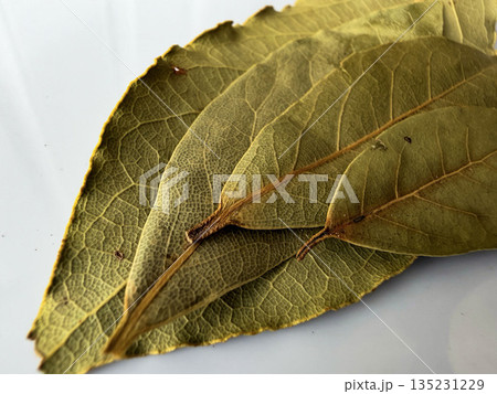 Stacked Bay Leaves Flat Lay on White Background 135231229